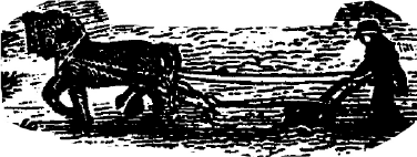 Img16.png