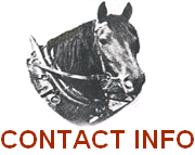 CONTACT INFO