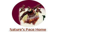 Nature's Pace Home