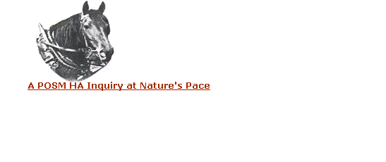 A POSM HA Inquiry at Nature's Pace