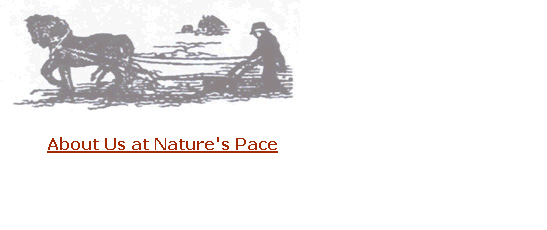 About Us at Nature's Pace