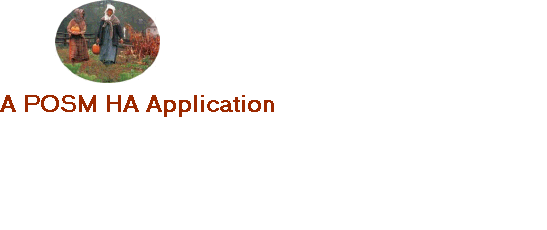 A POSM HA Application