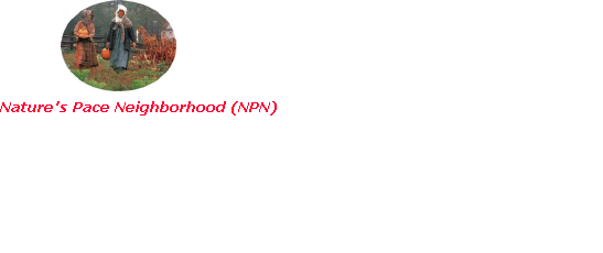 NPN